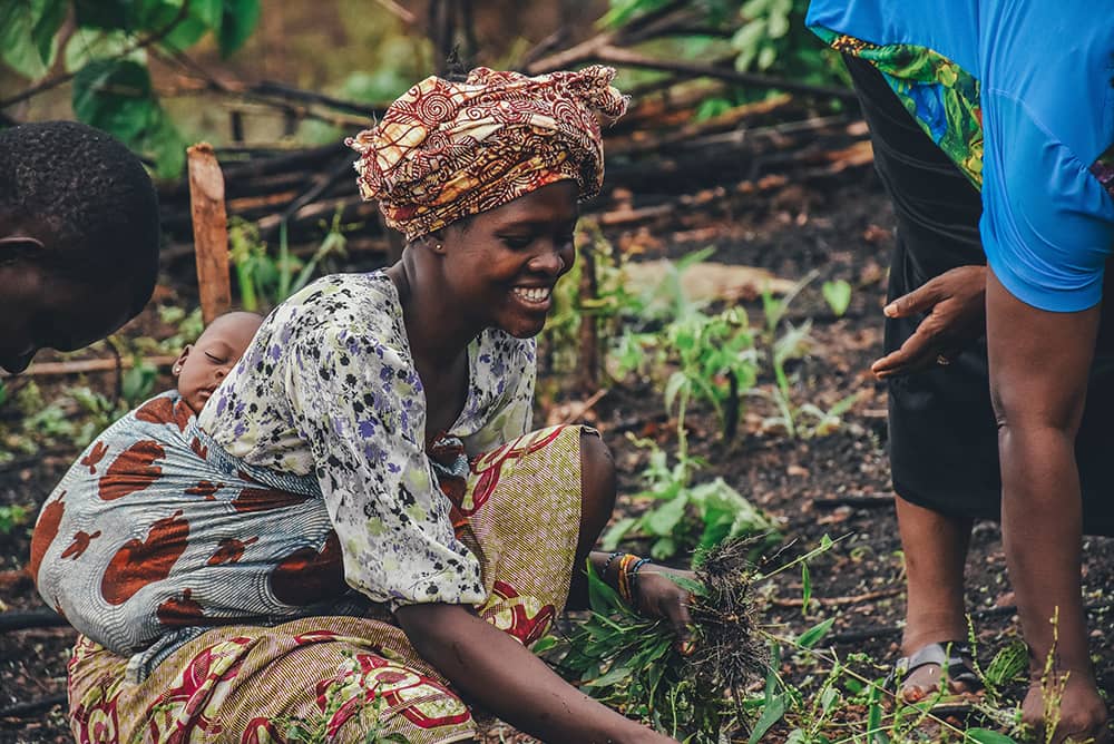 Le genre dans le nexus énergie-agriculture au Cameroun