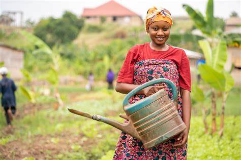 Jounée internationale de la femme rurale